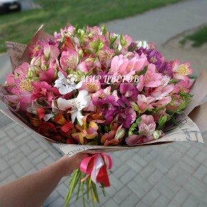 Букет Альстромерий Микс