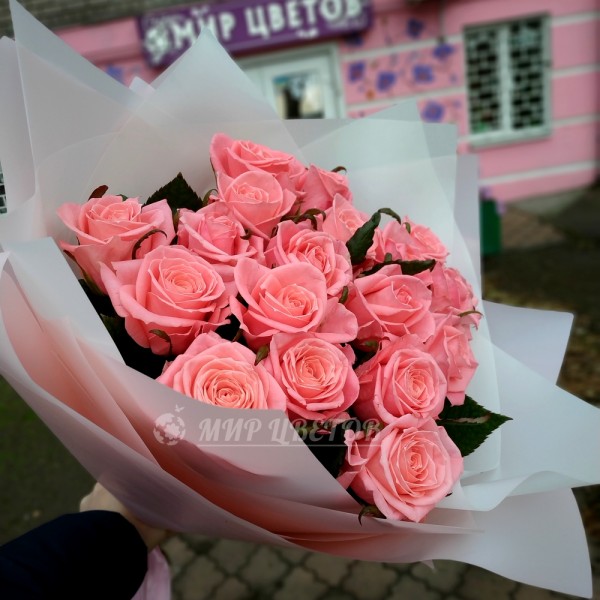  Букет 15 розовых роз в кальке, высота 70см