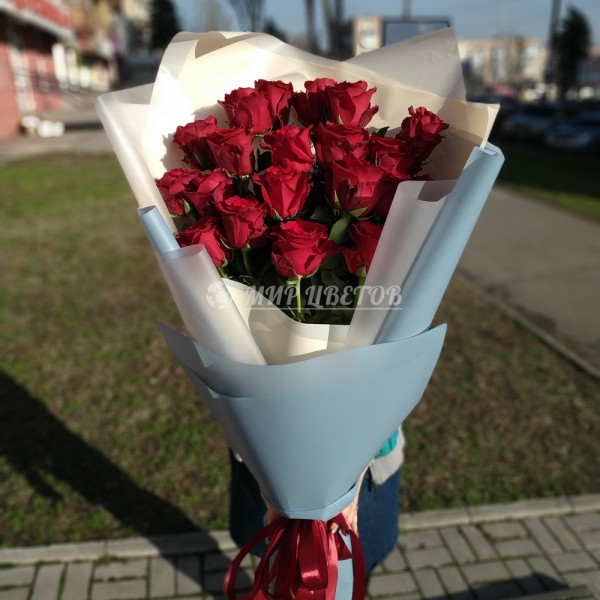 Букет 21 голландская роза красная
