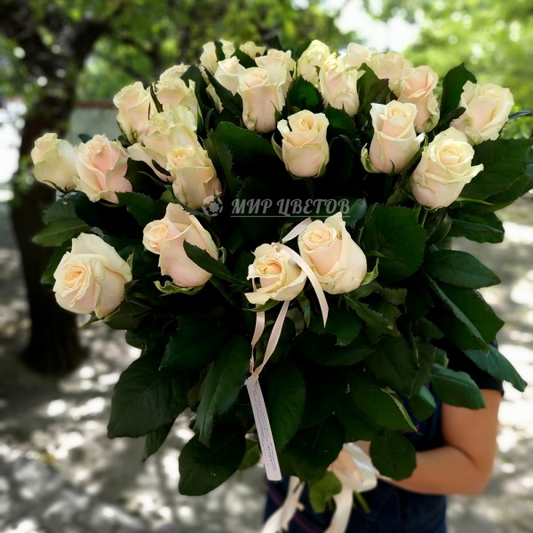 Букет 25 кремовых роз