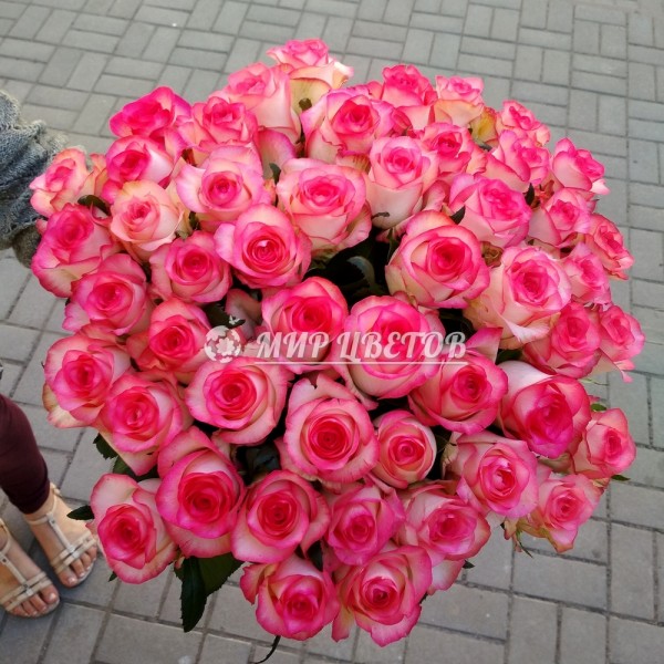 Букет 51 розовая роза Джумилия