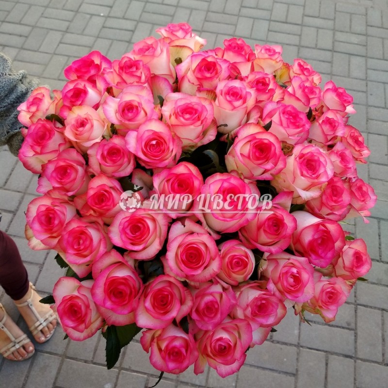 Букет 51 розовая роза Джумилия