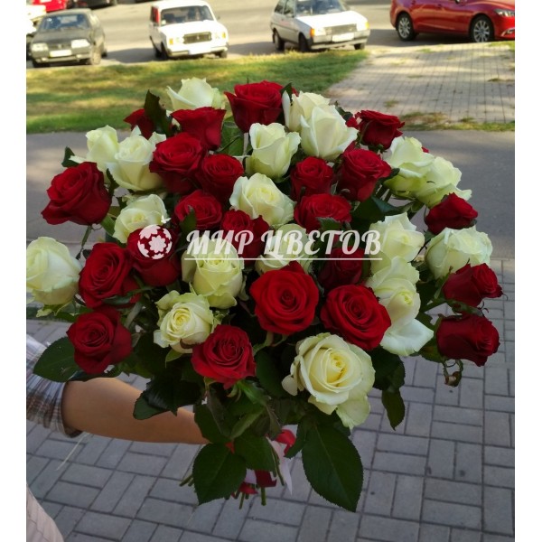 Букет 51 роза красная и белая микс