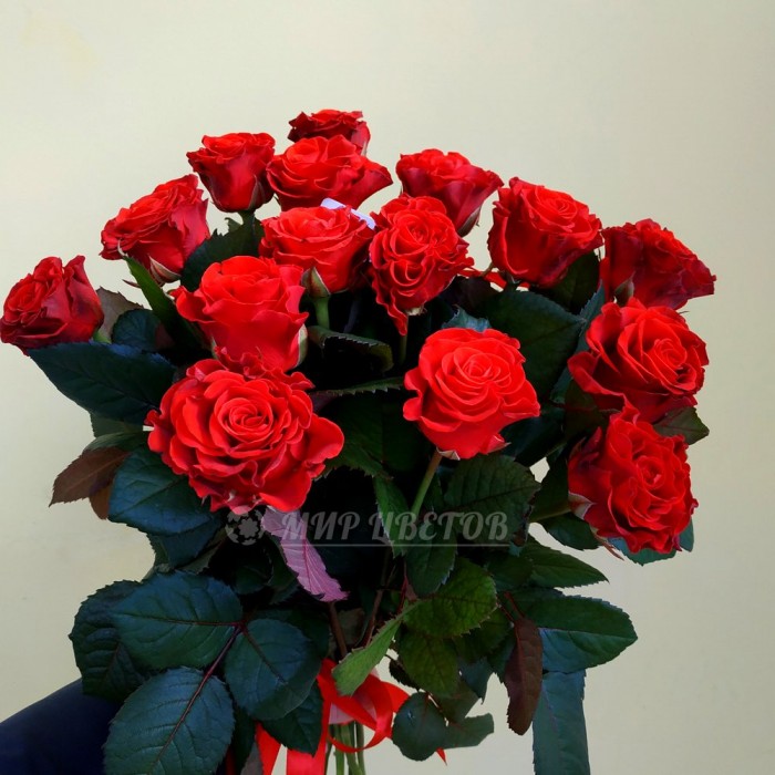 Букет 15 красных роз Эльторо