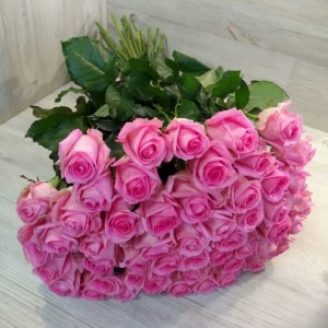 Голландская розовая Роза Revival