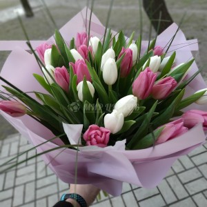 Букет 35 тюльпанов белых и розовых