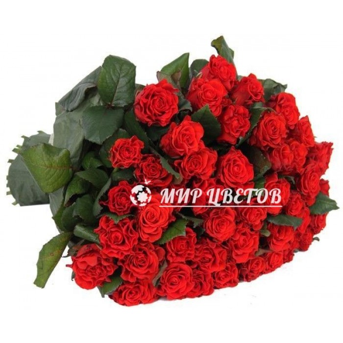 Букет 51 красная роза Эльторо